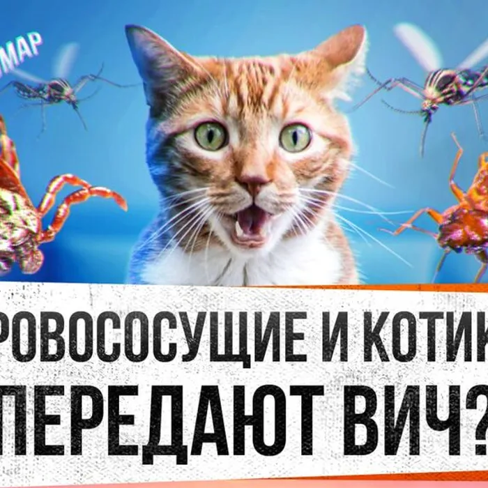 Мифы о ВИЧ